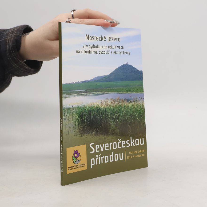 Kolektiv autorů Mostecké jezero