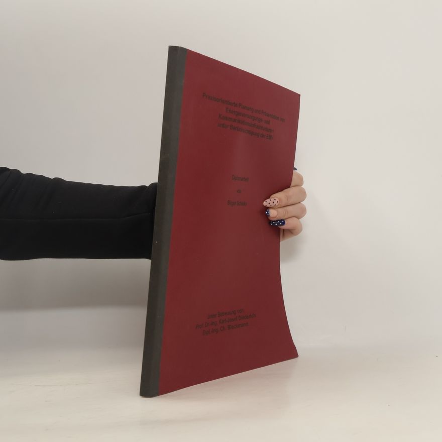 Birger Schieke Diplomarbeit