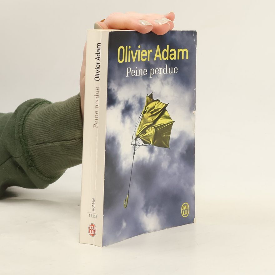 Olivier Adam Peine perdue