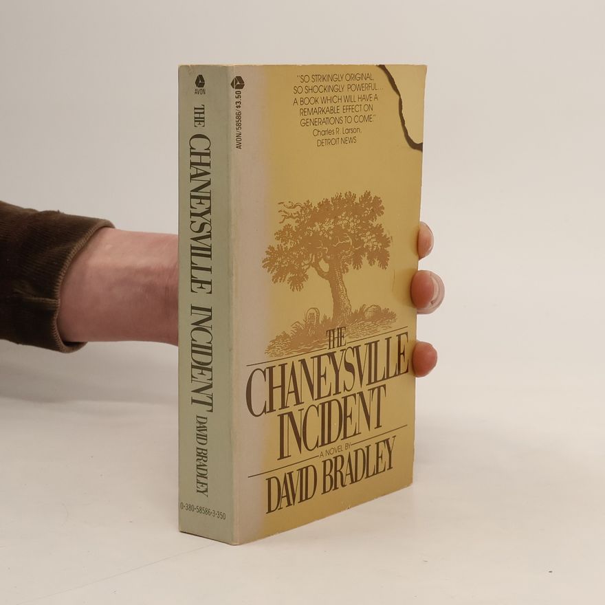 David Bradley The Chaneysville Incident
