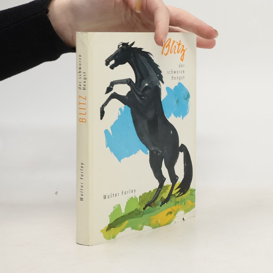 Walter Farley Blitz der schwarze Hengst