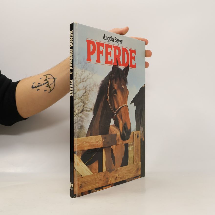 Angela Rixon Pferde