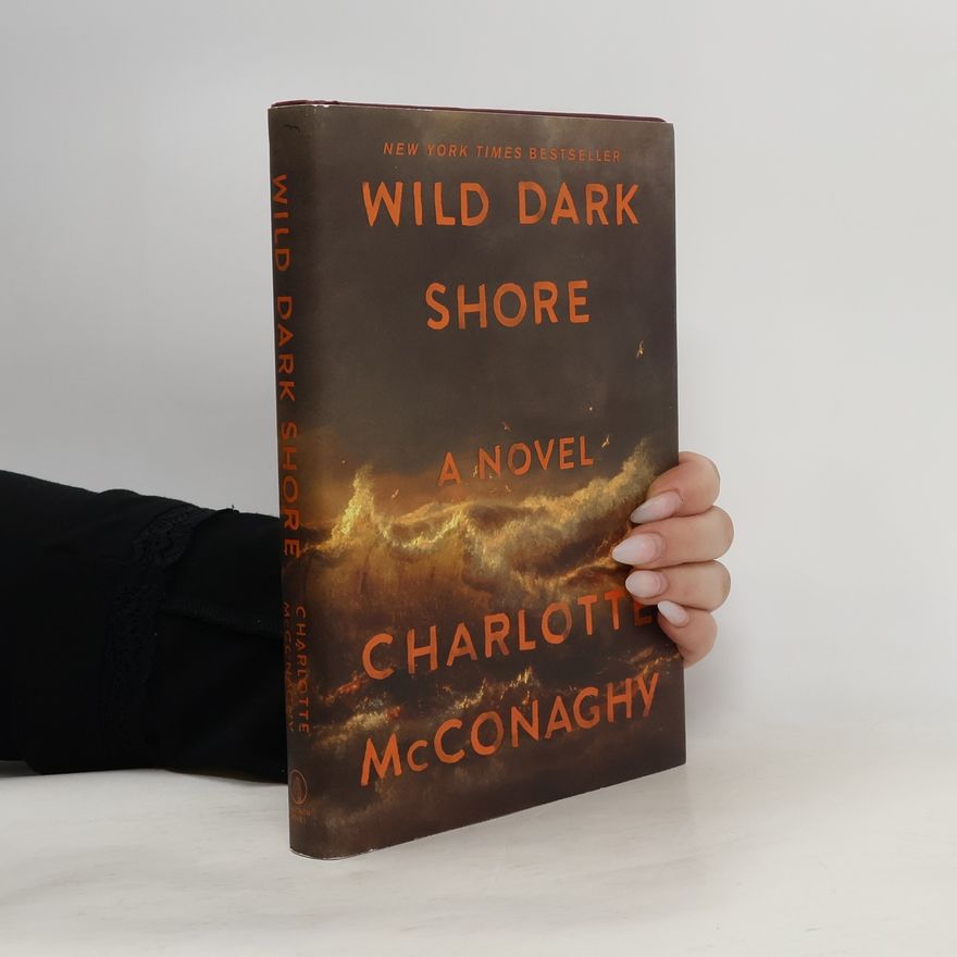 CHARLOTTE. MCCONAGHY Wild Dark Shore