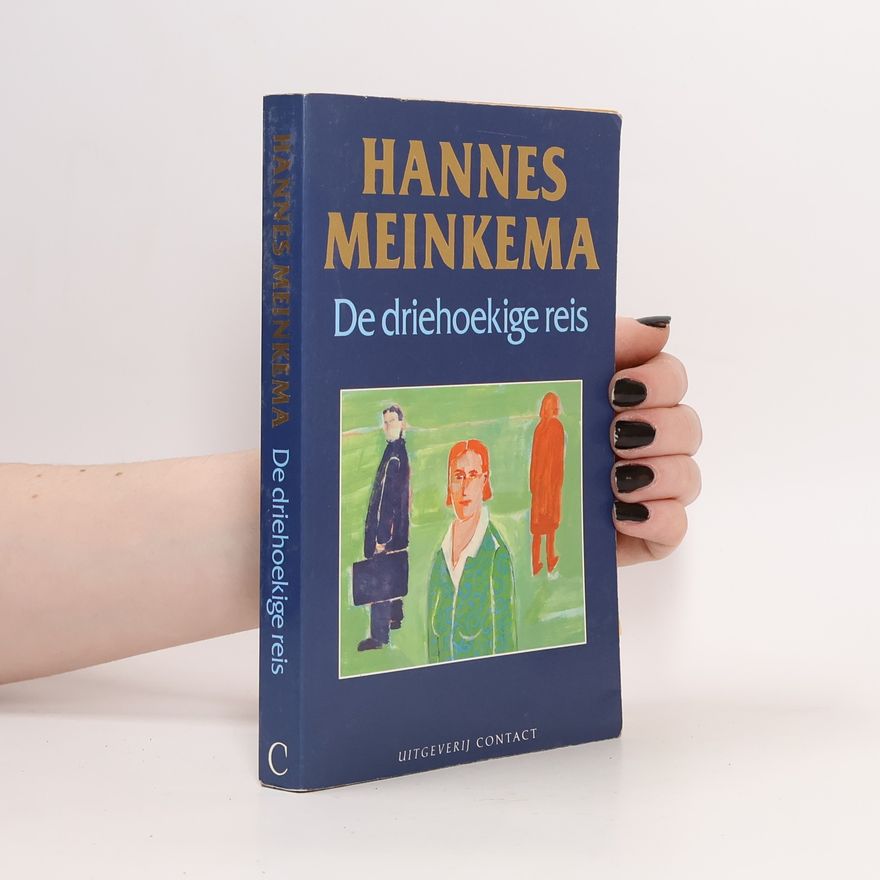 Hannes Meinkema De driehoekige reis