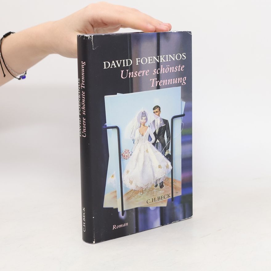 David Foenkinos Unsere schönste Trennung
