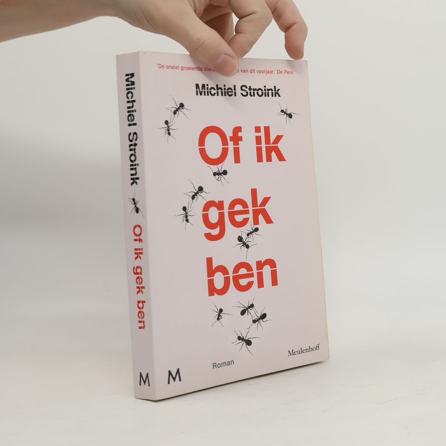 Michiel Stroink Of ik gek ben