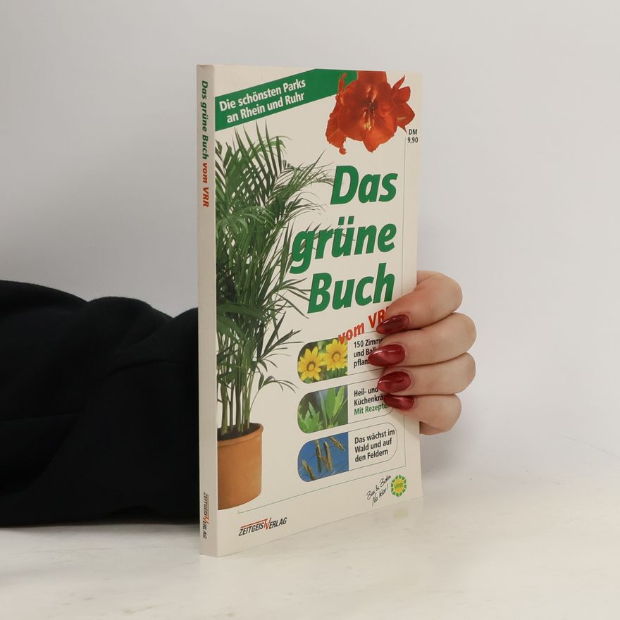 Thomas Allstedt Das grüne Buch vom VRR