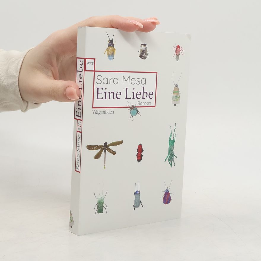 Sara Mesa Eine Liebe
