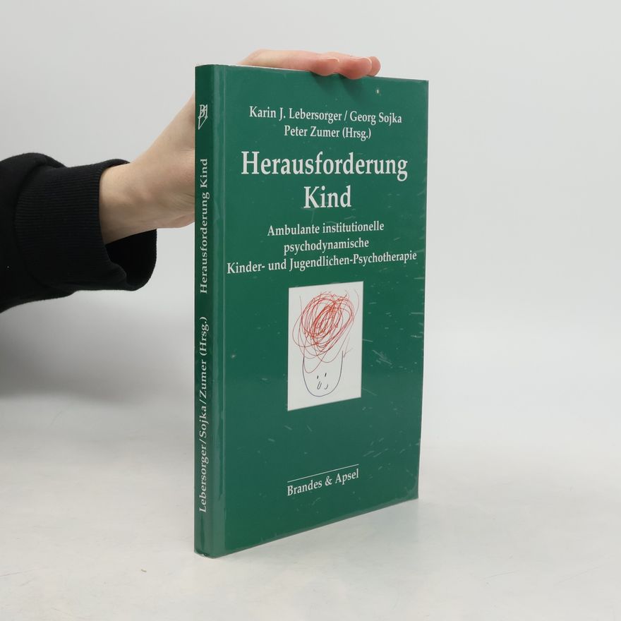 Karin J Lebersorger Herausforderung Kind