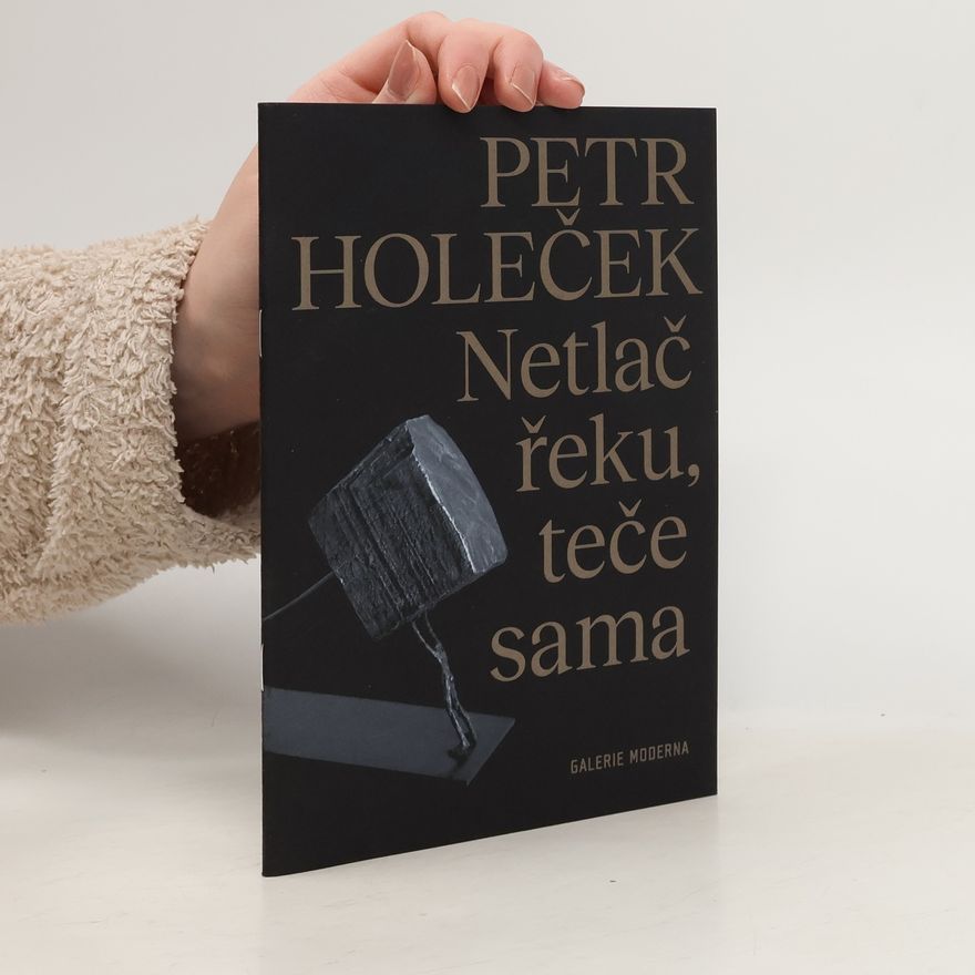 Petr Holeček Netlač řeku, teče sama