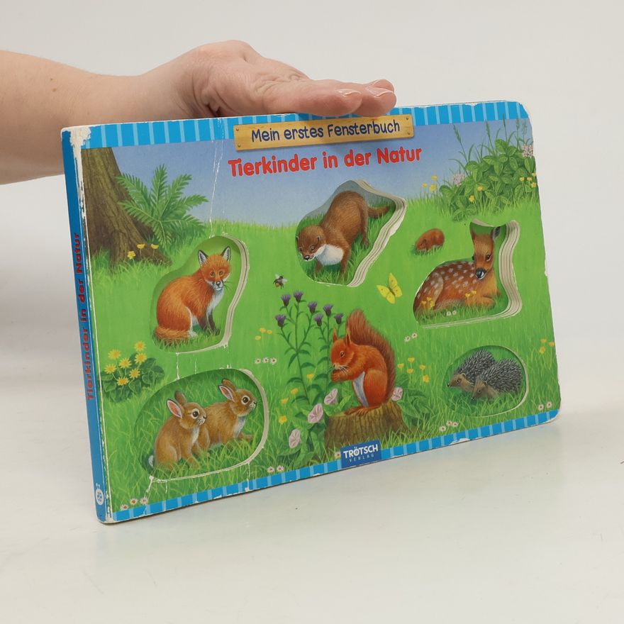 Autorenkollektiv Trötsch mein erstes Fensterbuch Tierkinder in der Natur