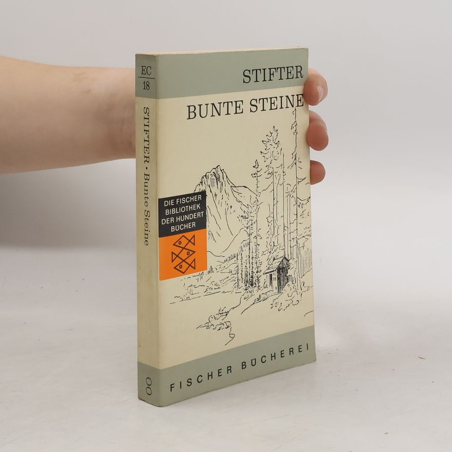 Adalbert Stifter Bunte Steine