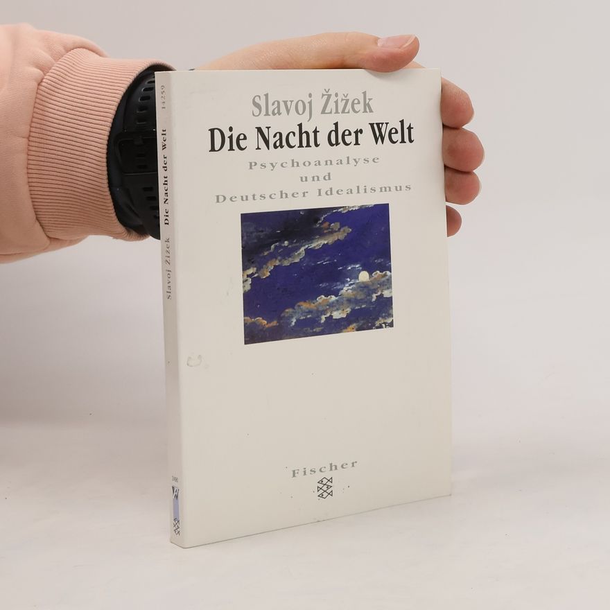 Slavoj Žižek Die Nacht der Welt