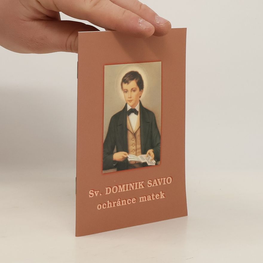 Michael Staudigl Sv. Dominik Savio - ochránce matek