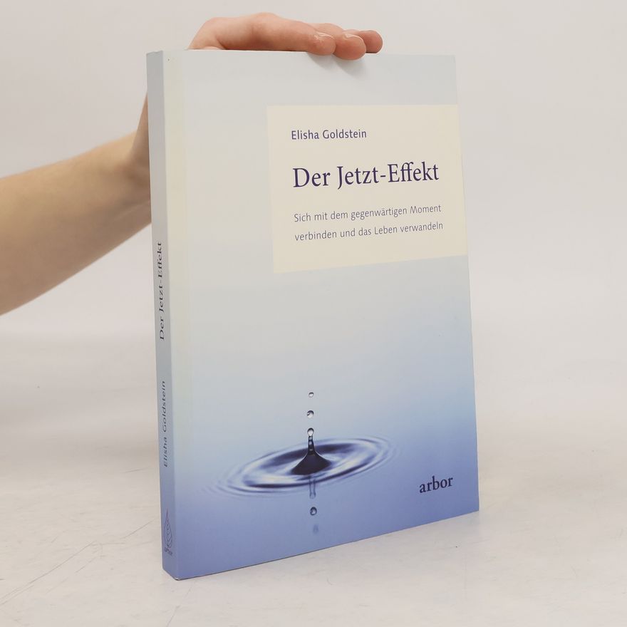 Elisha Goldstein Der Jetzt-Effekt
