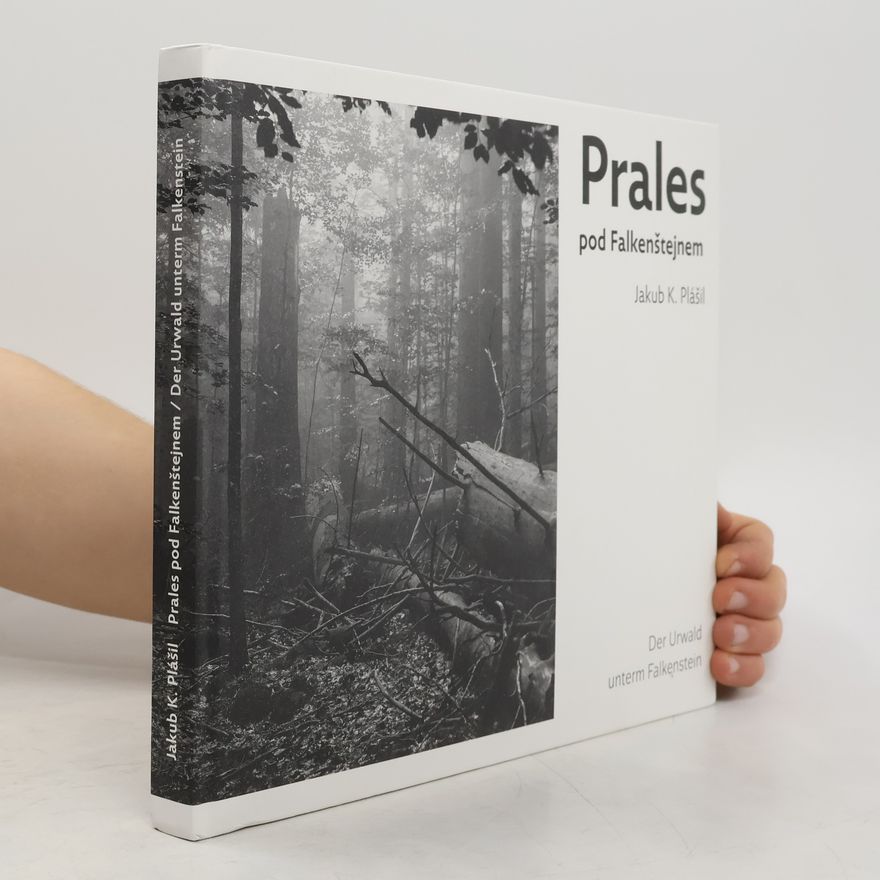 Jakub Plášil Prales pod Falkenštejnem. Der Urwald unterm Falkenstein