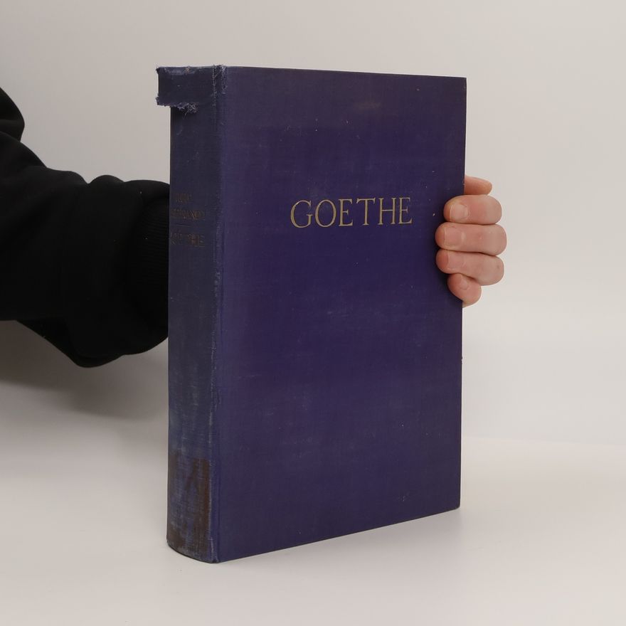 Kurt Hildebrandt Goethe