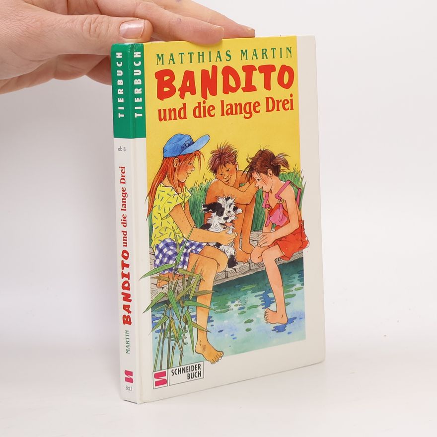 Matthias Martin Bandito und die lange Drei