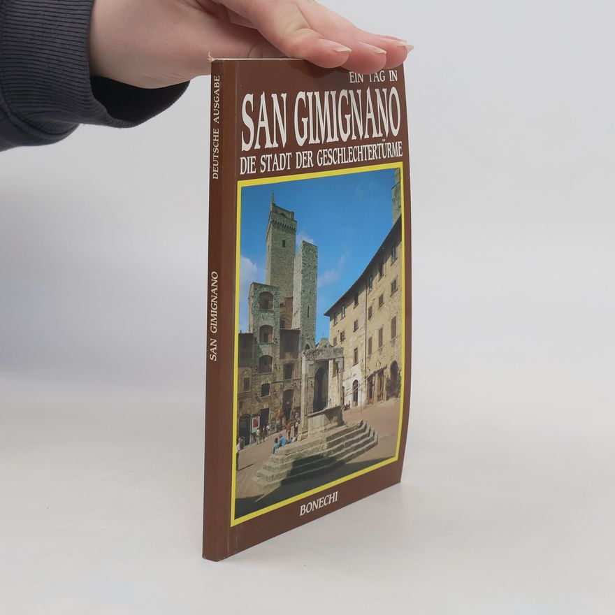 Autorenkollektiv Ein Tag in San Gimignano