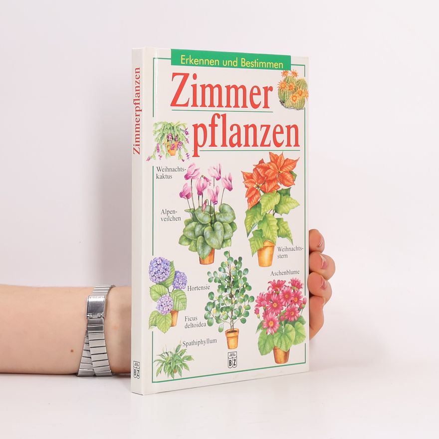 Autorenkollektiv Zimmer Pflanzen
