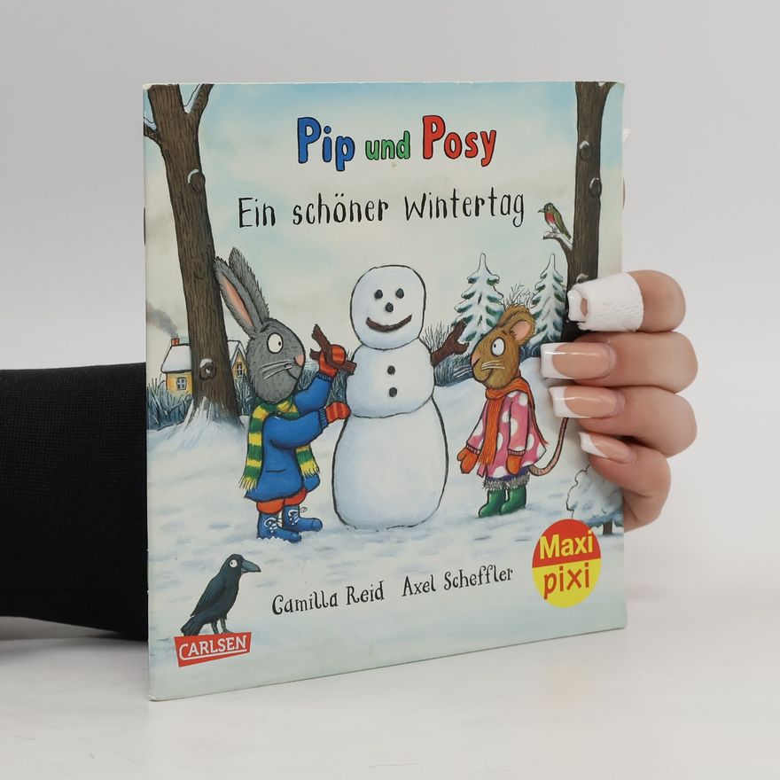 Camilla Reid Maxi Pixi: Pip und Posy - 387: Ein schöner Wintertag