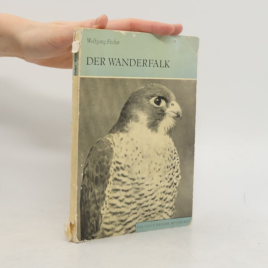 Wolfgang Fischer Der Wanderfalk