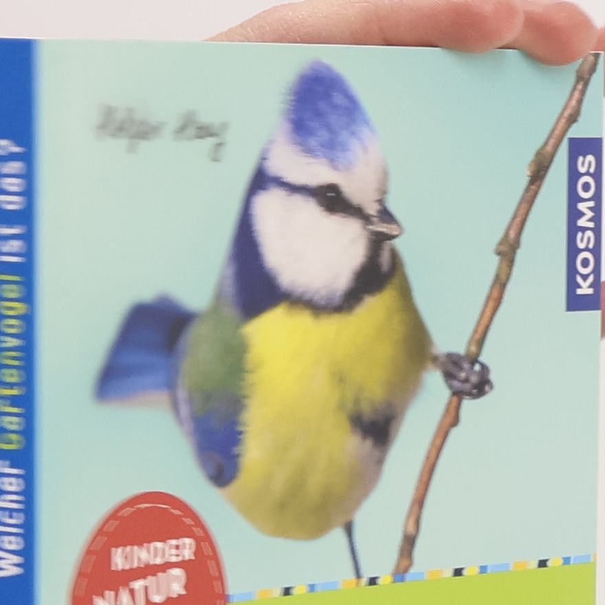Holger Haag Welcher Gartenvogel ist das?
