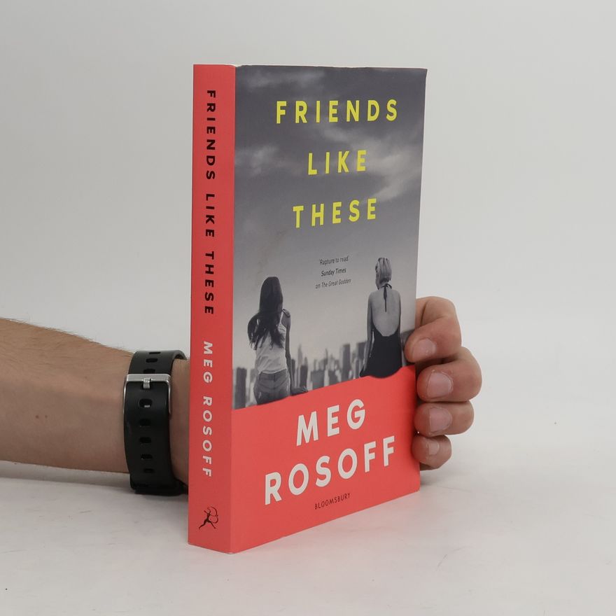 Meg Rosoff Friends Like These