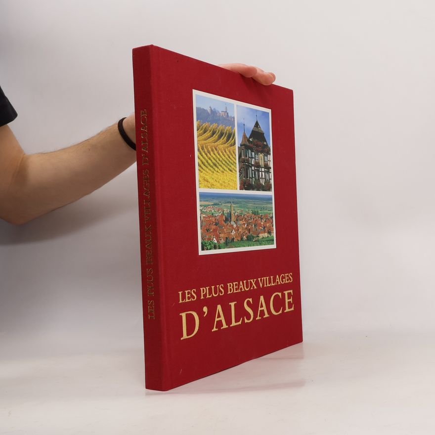 Bernard J. Naegelen Les plus beaux villages d'Alsace