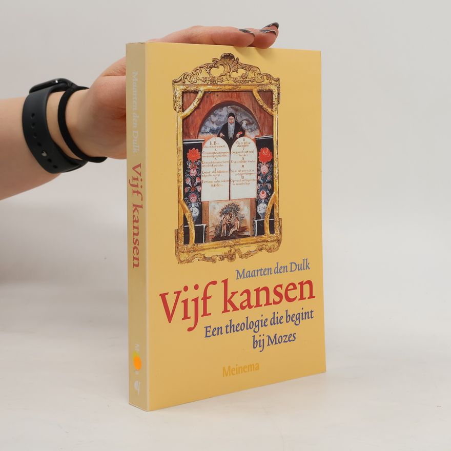 Maarten den Dulk Vijf kansen
