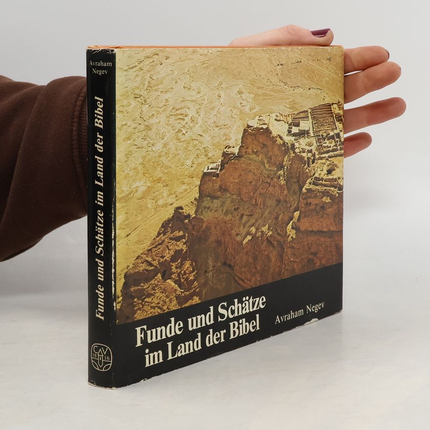 Avraham Negev Funde und Schätze im Land der Bibel