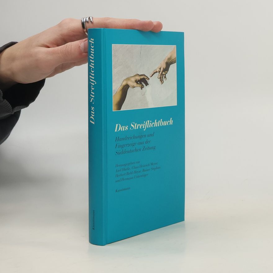 Axel Hacke Das Streiflichtbuch