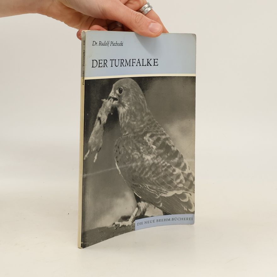 Rudolf Piechocki Der Turmfalke