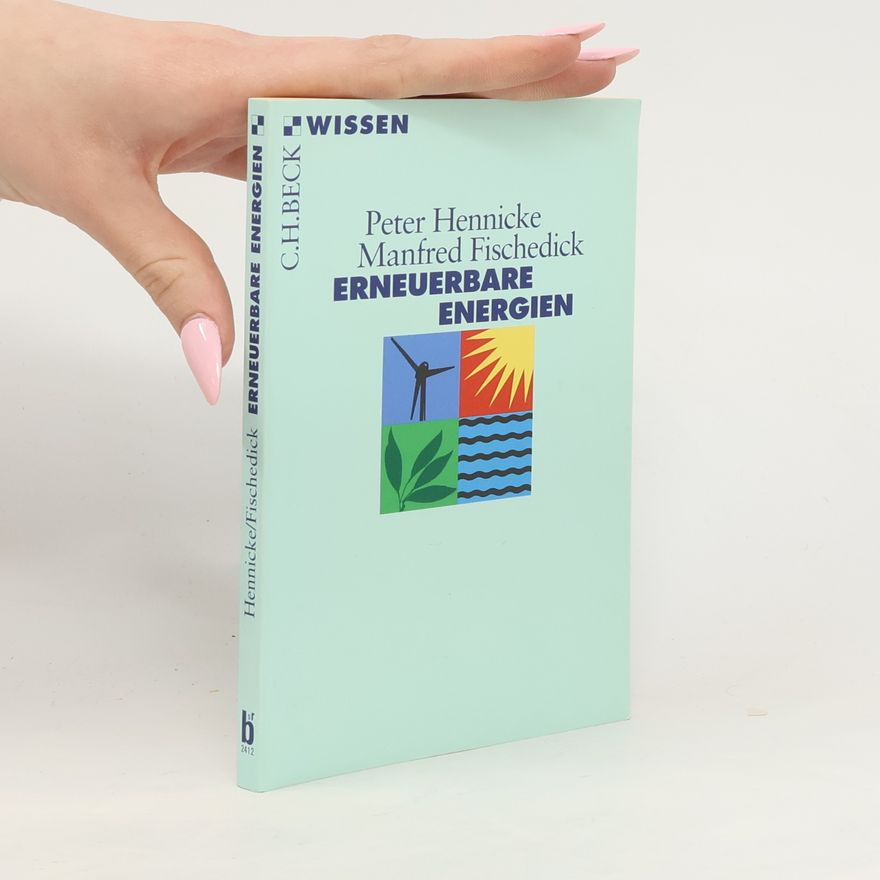 Peter Hennicke Erneuerbare Energien