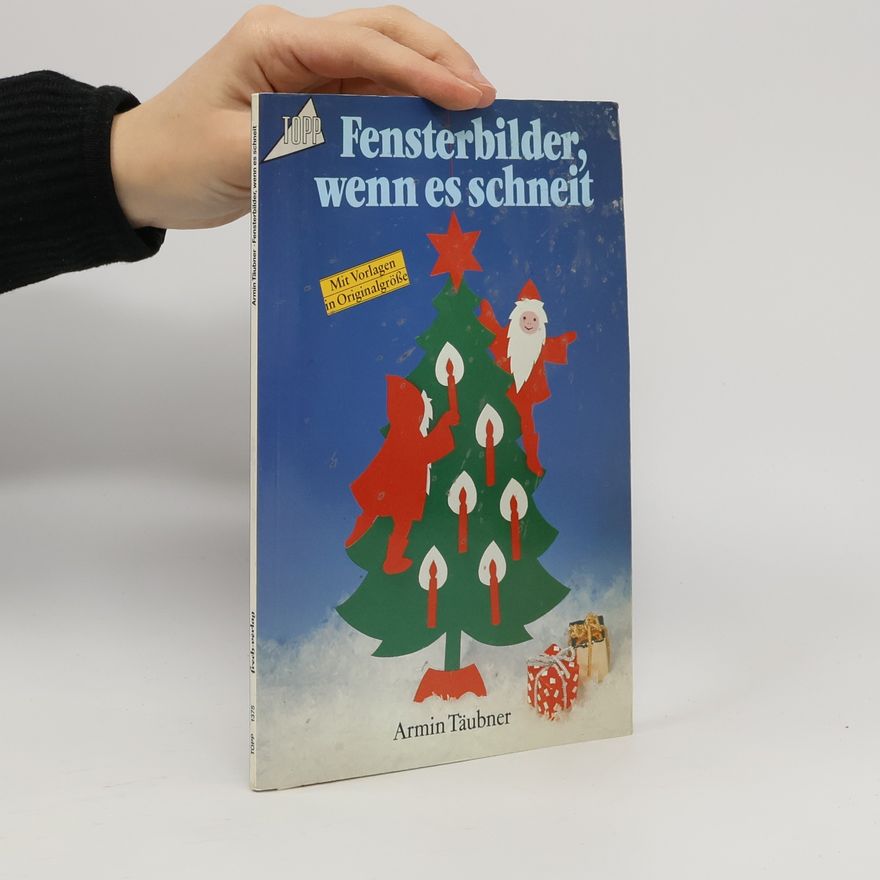 Daniel Täubner Fensterbilder, wenn es schneit