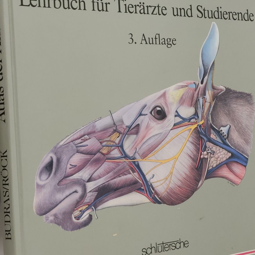Klaus Dieter Budras Atlas der Anatomie des Pferdes