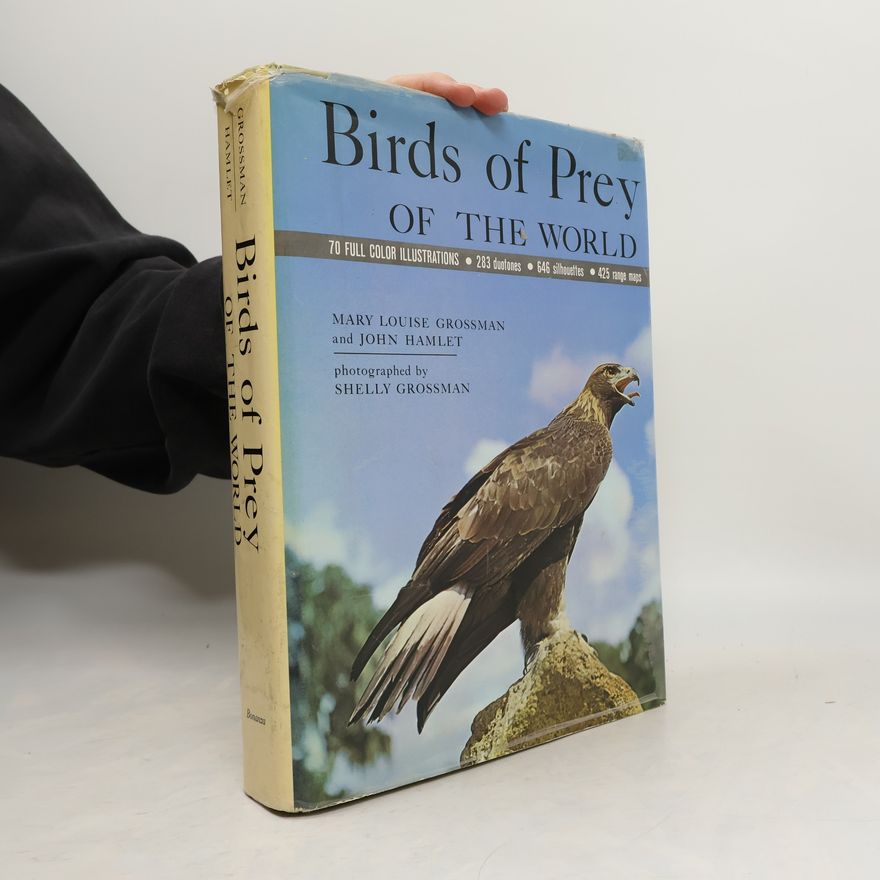 John N. Hamlet Birds Of Prey Of The World