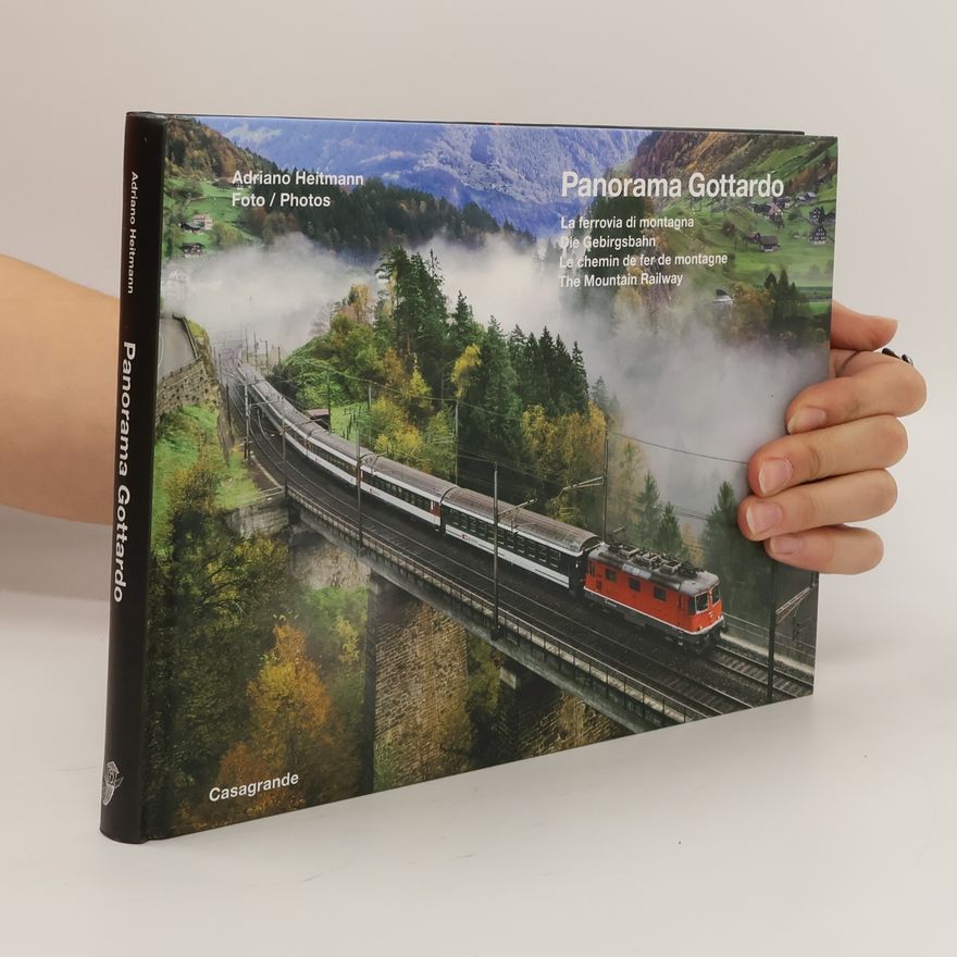 Adriano Heitmann Panorama Gottardo