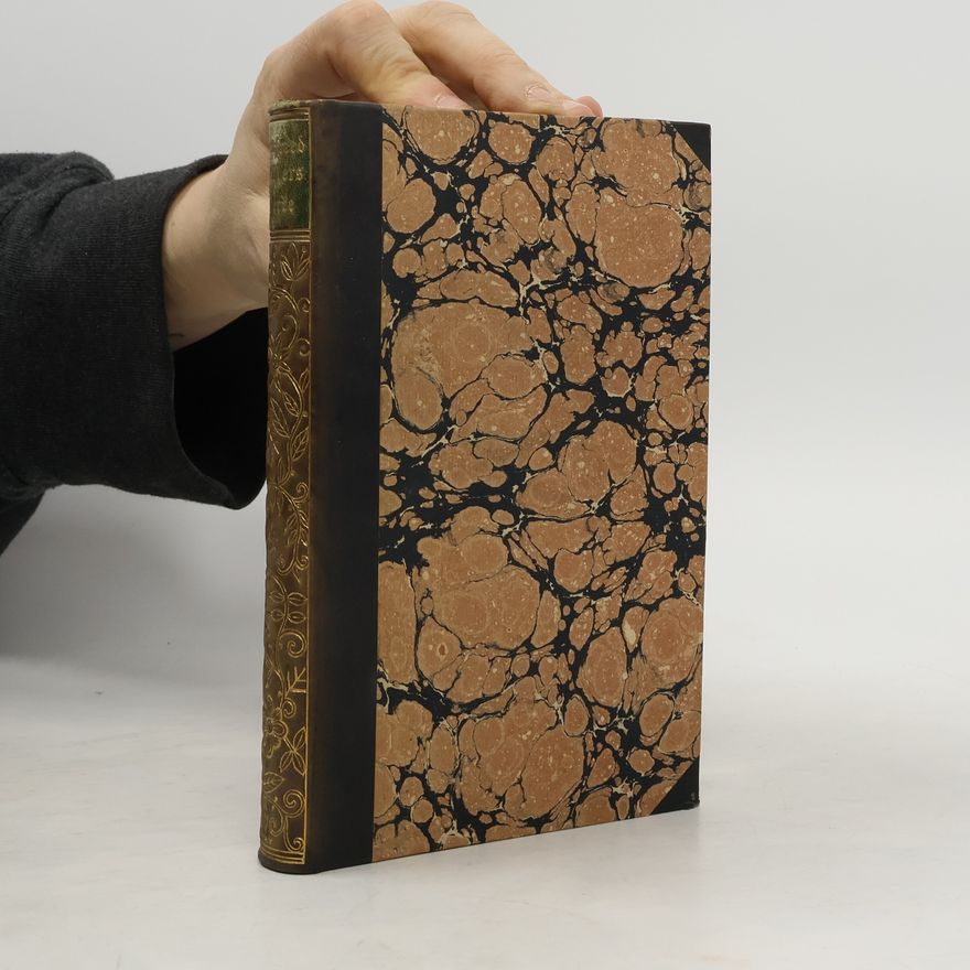 Gottfried Keller Züricher Novellen Martin Salander Therese