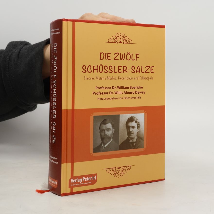 Willis Alonso Dewey Die zwölf Schüssler-Salze nach Dr. Schüssler