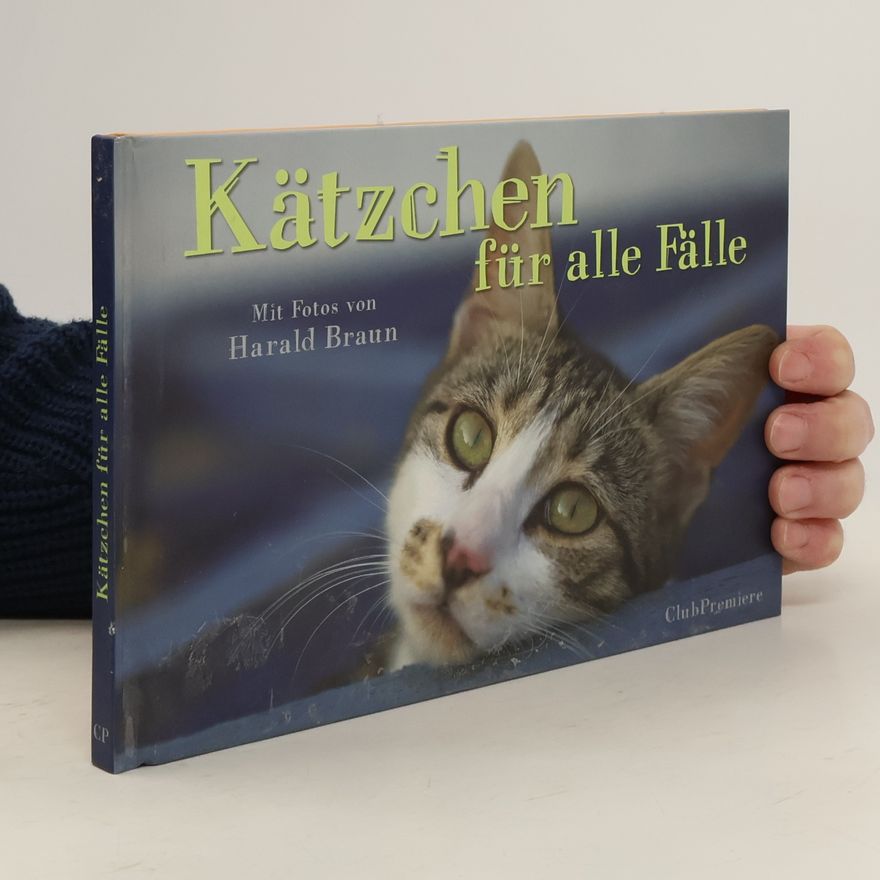 Harald Braun Kätzchen für alle Fälle