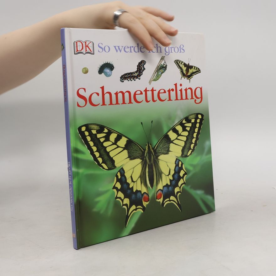 Lisa Magloff Schmetterling