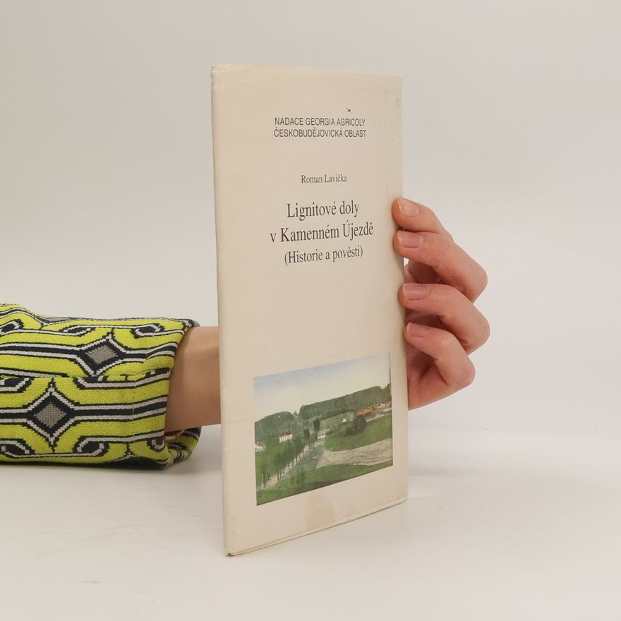 Roman Lavička Lignitové doly v Kamenném Újezdě