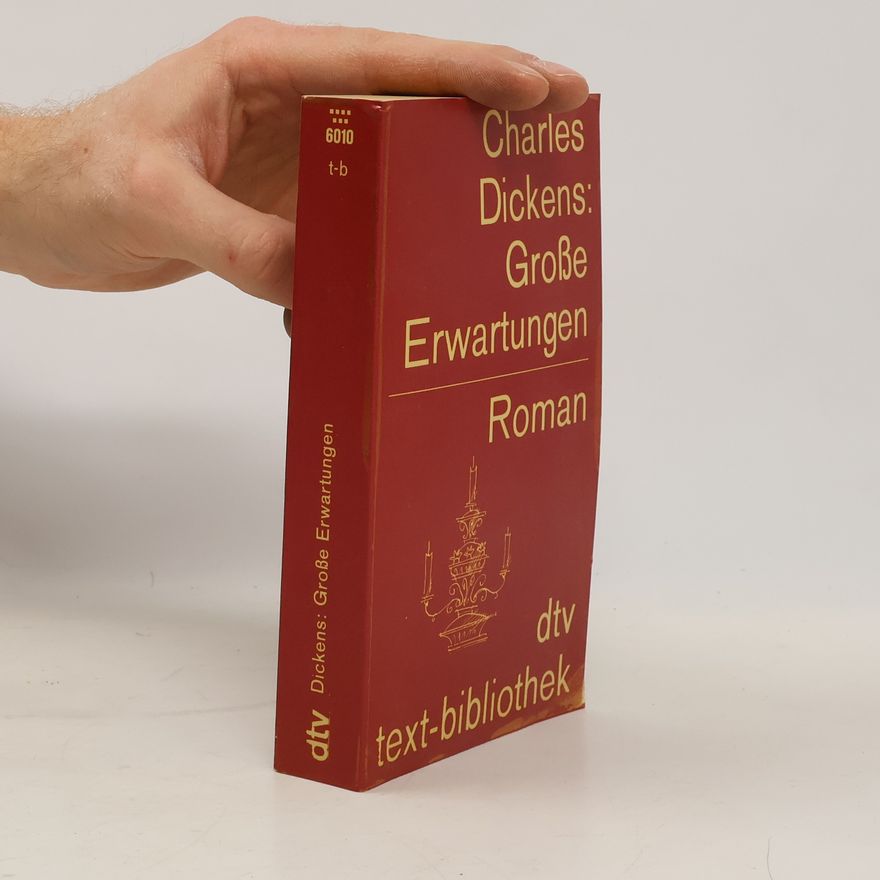 Charles Dickens Grosse Erwartungen