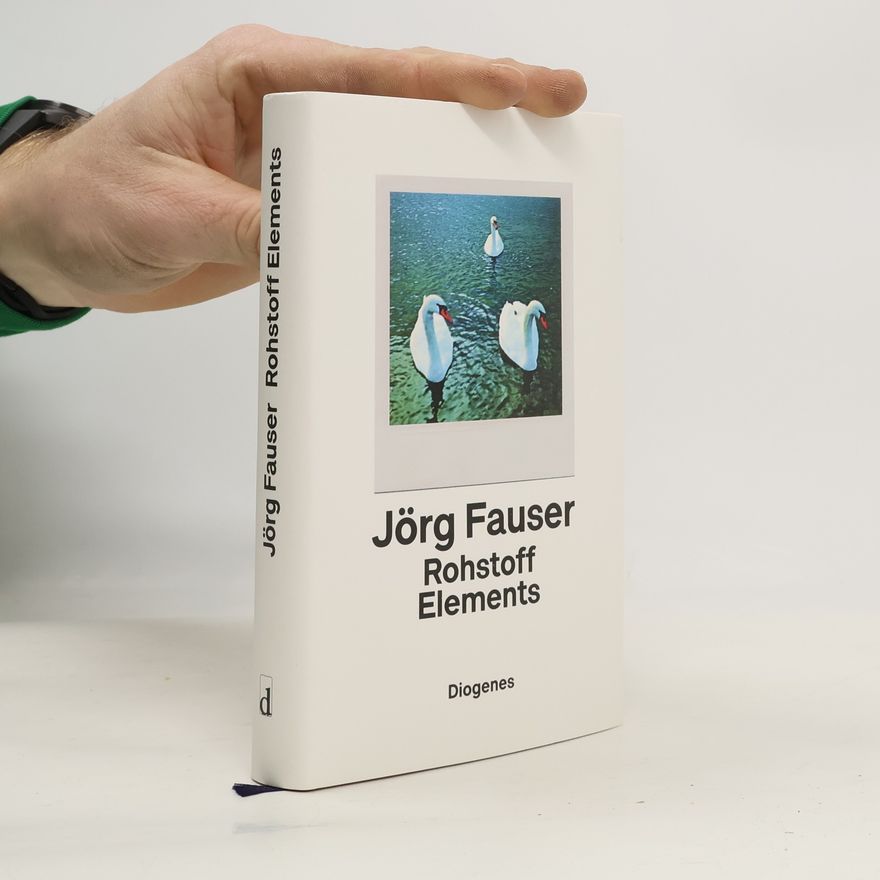 Jörg Fauser Rohstoff Elements