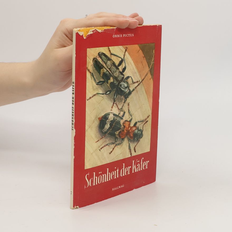 Autorenkollektiv Schönheit der Käfer