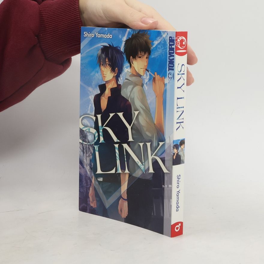 Shirō Yamada Sky Link