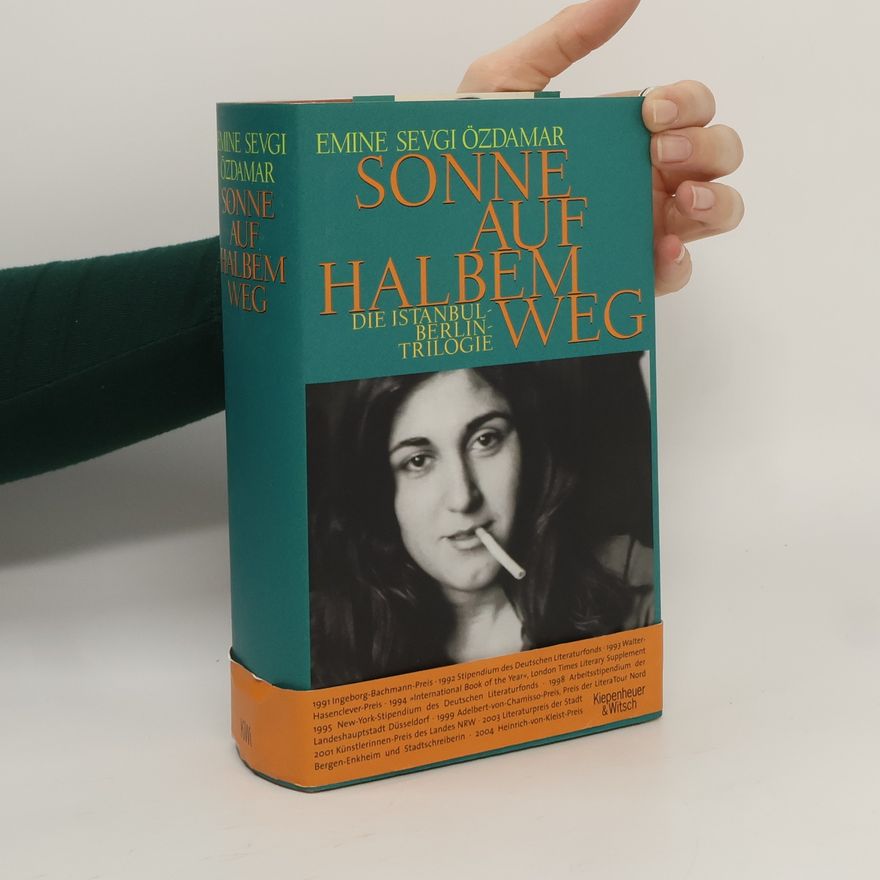 Emine Sevgi Özdamar Sonne auf halbem Weg