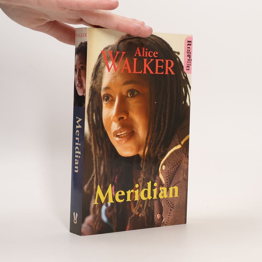 Alice Walker Meridian