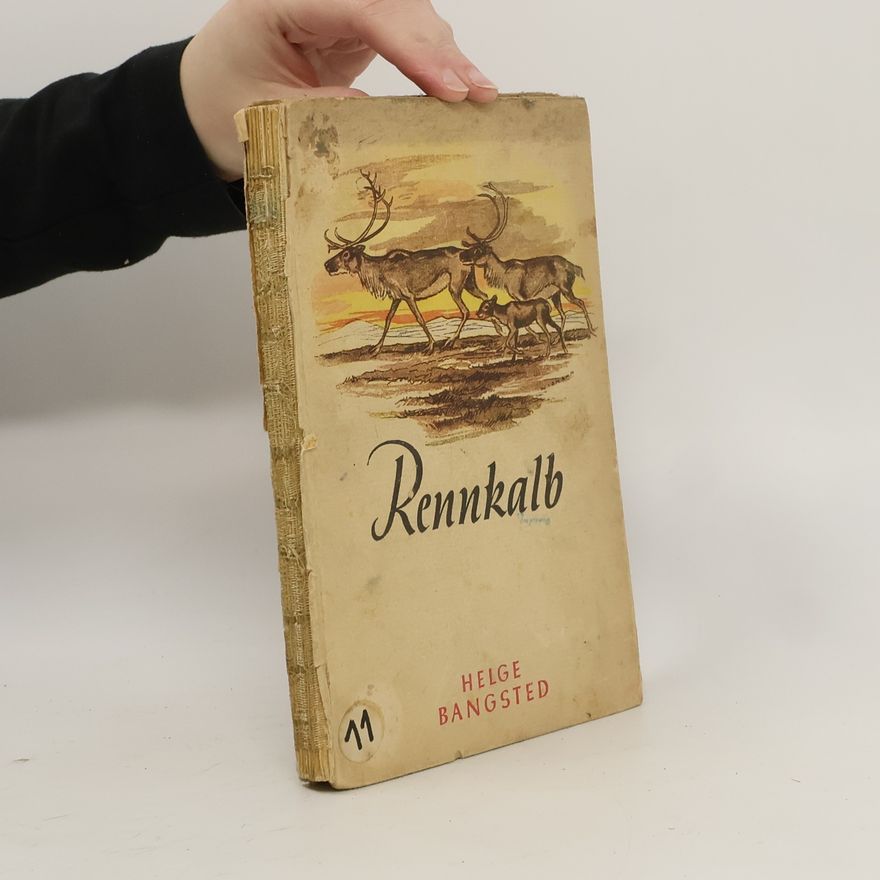 Helge Bangsted Rennkalb